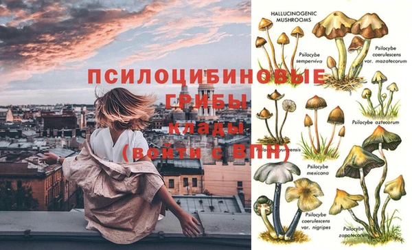 каннабис Алзамай