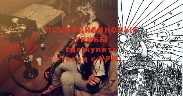 МДПВ Алексин