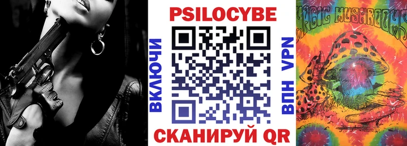 как найти наркотики  Заводоуковск  Псилоцибиновые грибы мицелий 