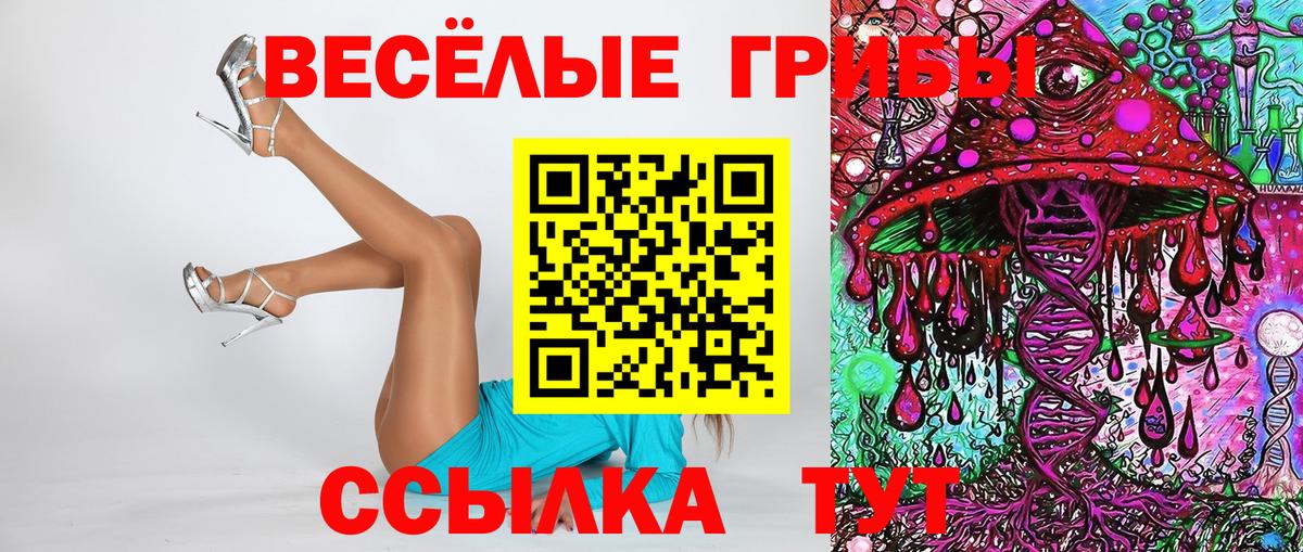 Псилоцибиновые грибы прущие грибы  Псилоцибиновые грибы Cubensis  Заводоуковск  Вход с VPN 